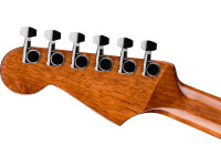 Fender Fender